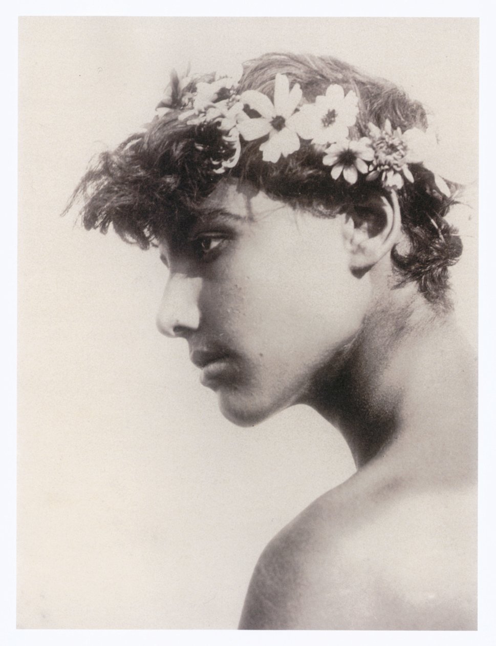 Portrait of a Boy by Guglielmo (1852 1930) Plüschow