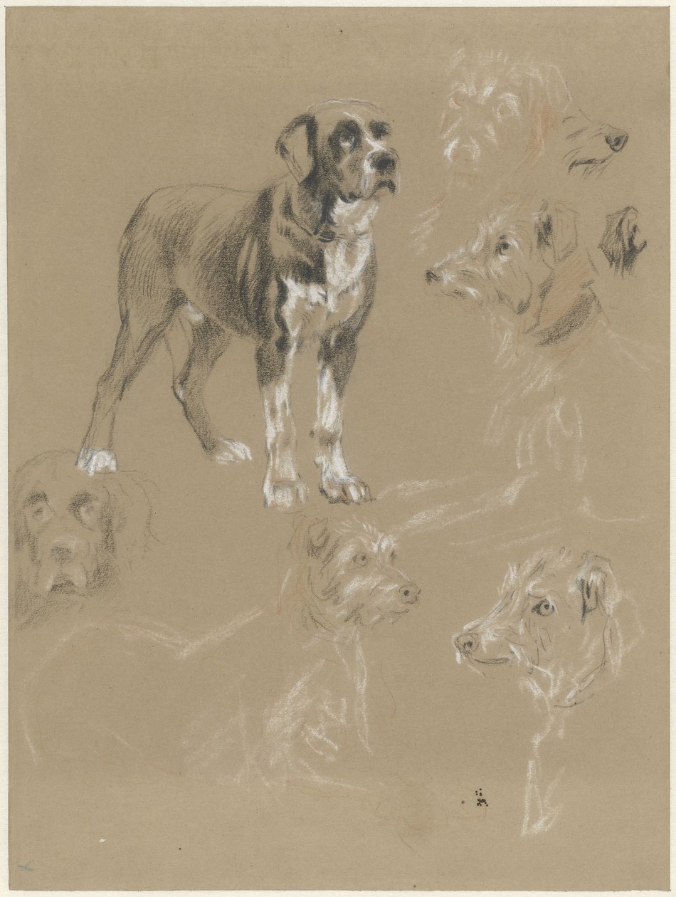 Studies of a Dog by Guillaume Anne van der Brugghen