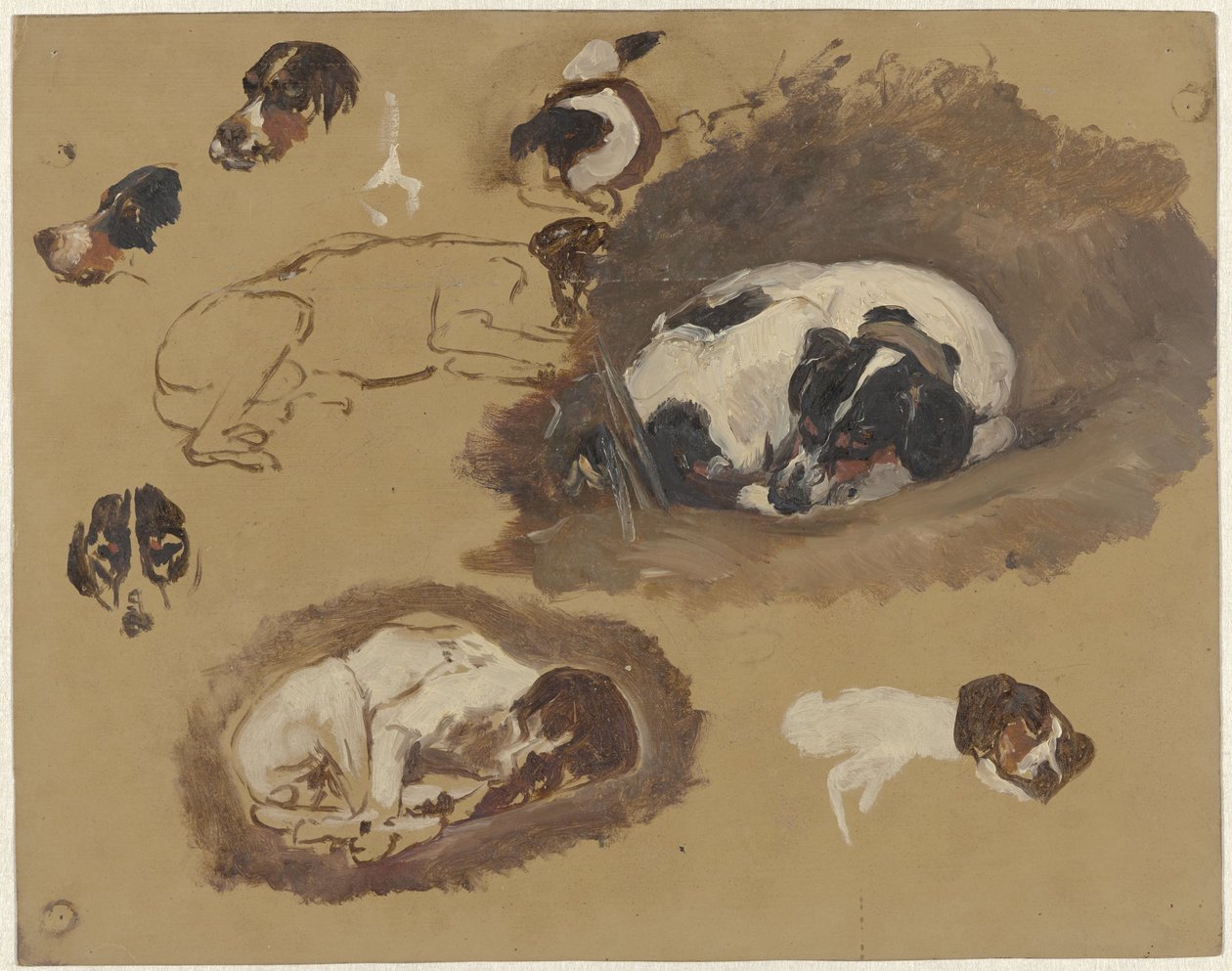 Studies of a Hunting Dog by Guillaume Anne van der Brugghen