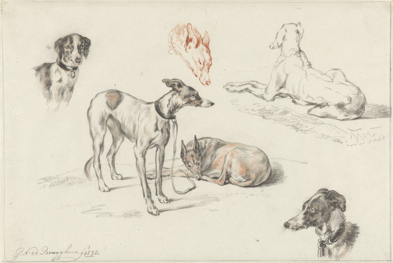 Studies of Dogs by Guillaume Anne van der Brugghen