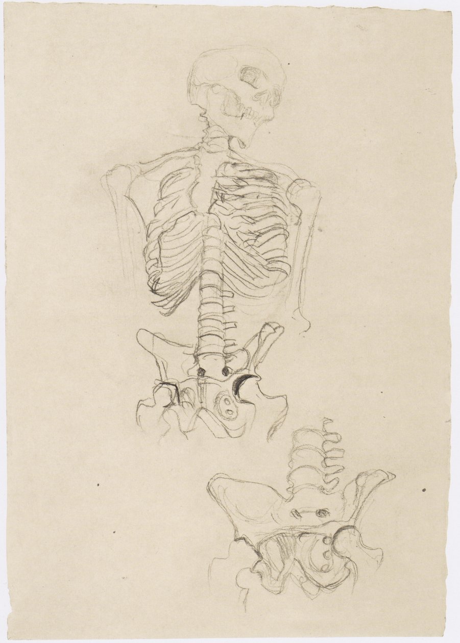 Two Skeleton Studies, Upper One with Head to the Right by Gustav Klimt