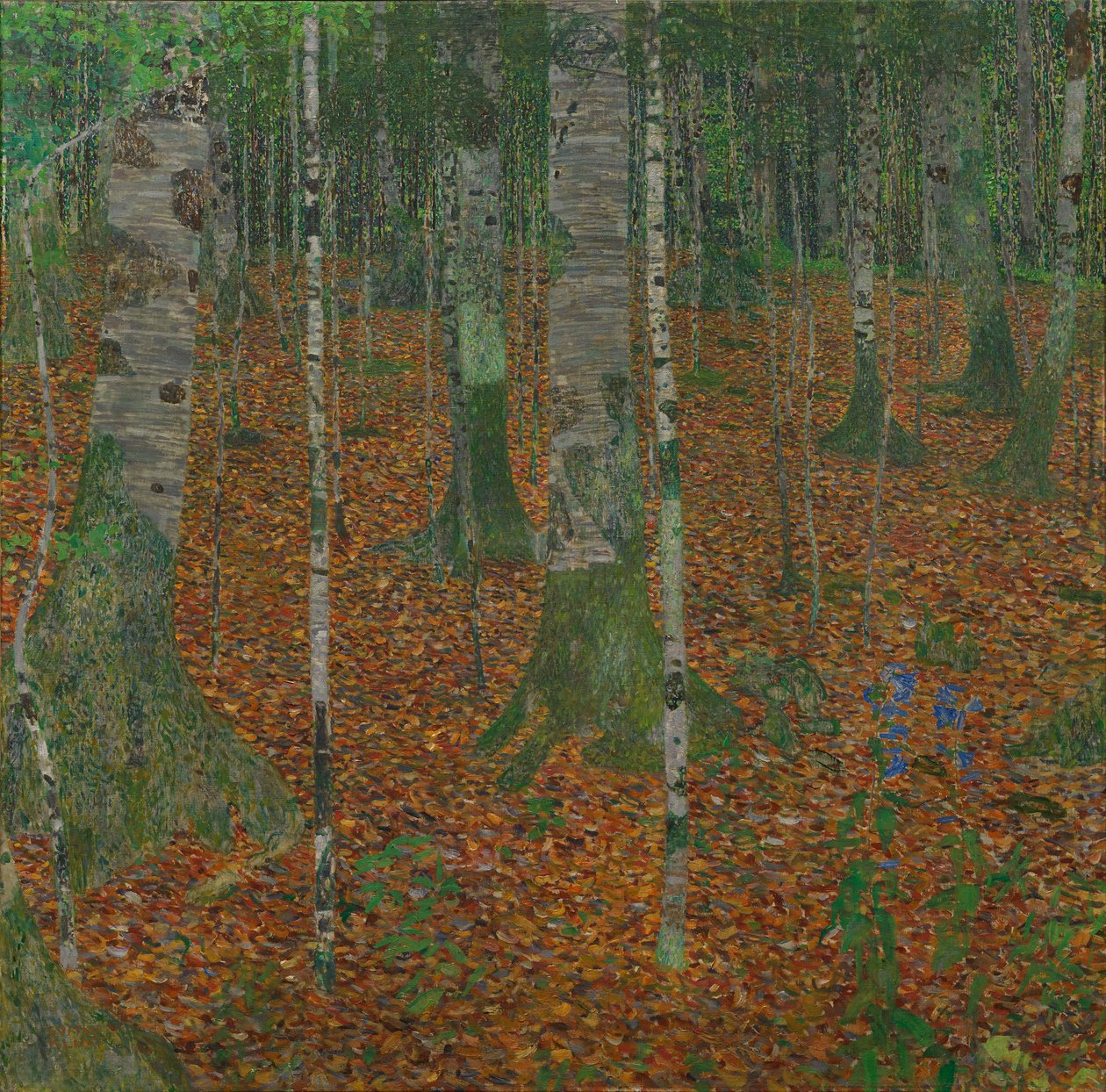 Birch Forest, 1903 by Gustav Klimt