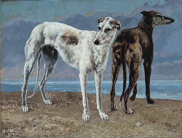 The Greyhounds of the Comte de Choiseul by Gustave Courbet