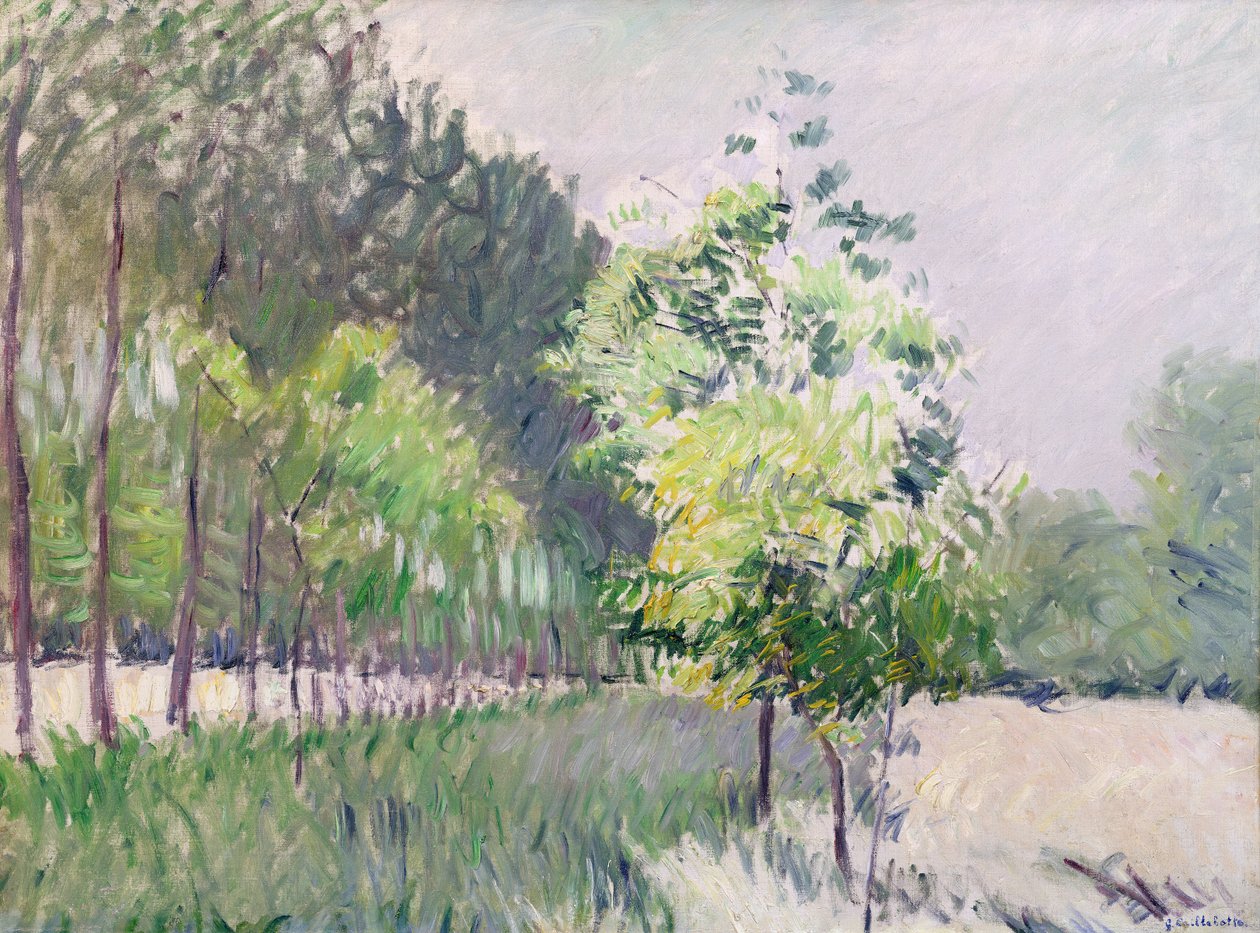 Orchard and Avenue of Trees by Gustave Caillebotte