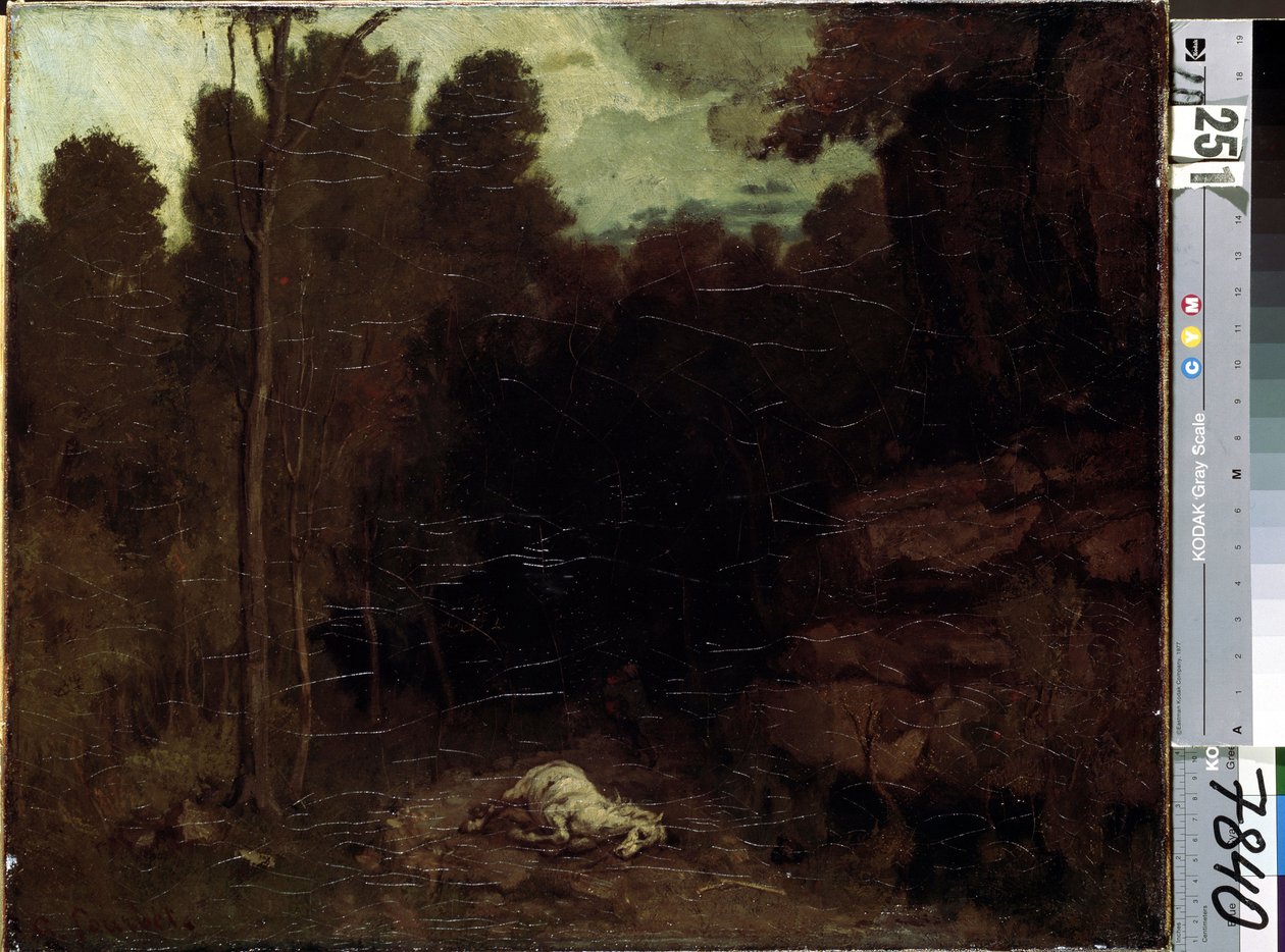 Unknown Image by Gustave Courbet