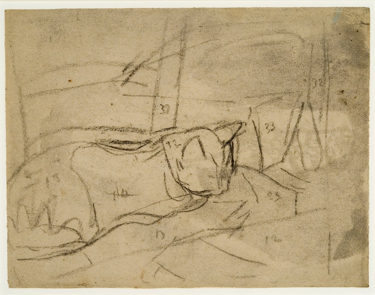 Cat Studies by Gwen John