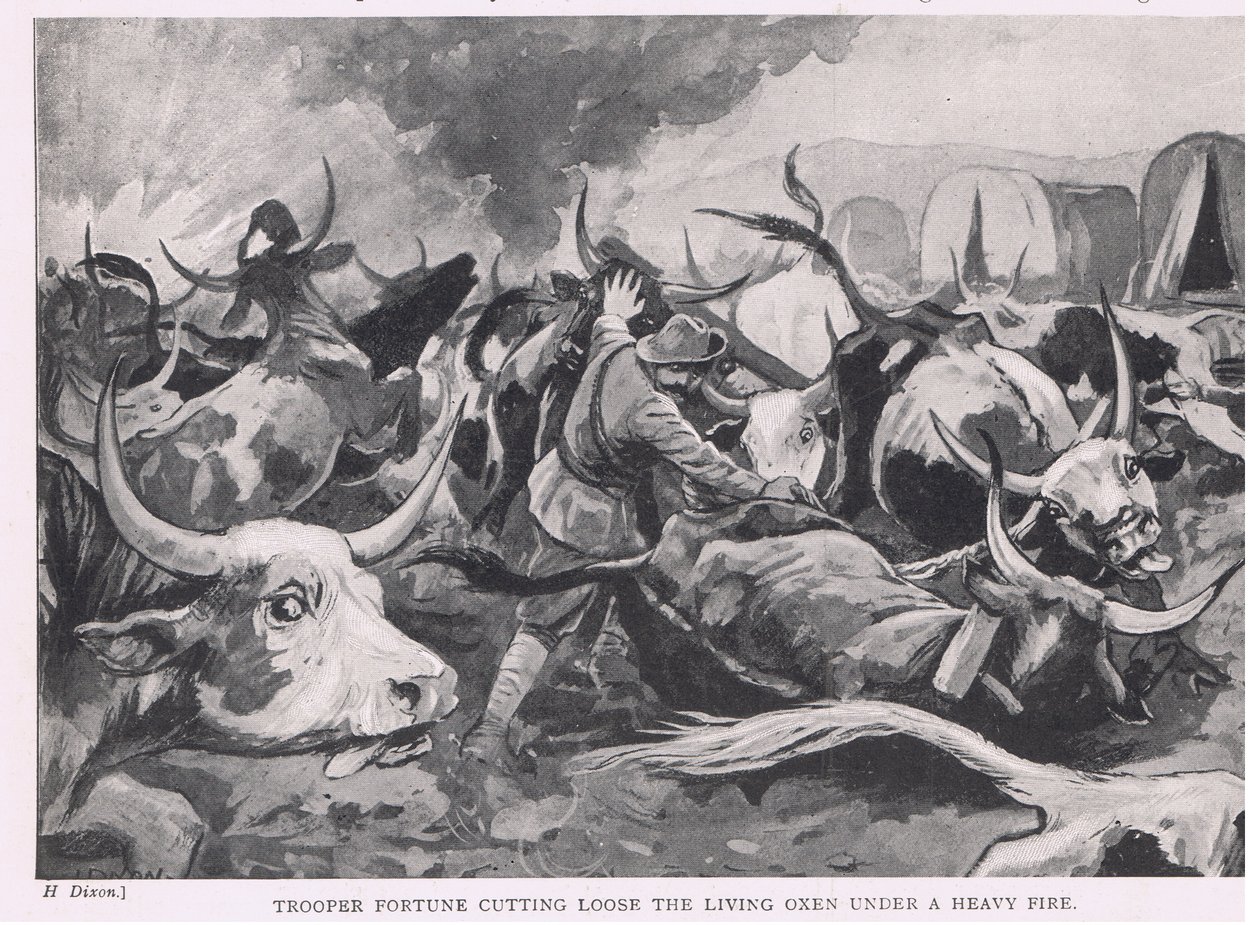 Trooper Fortune Cutting Loose the Living Oxen Under Heavy Fire by H. Dixon
