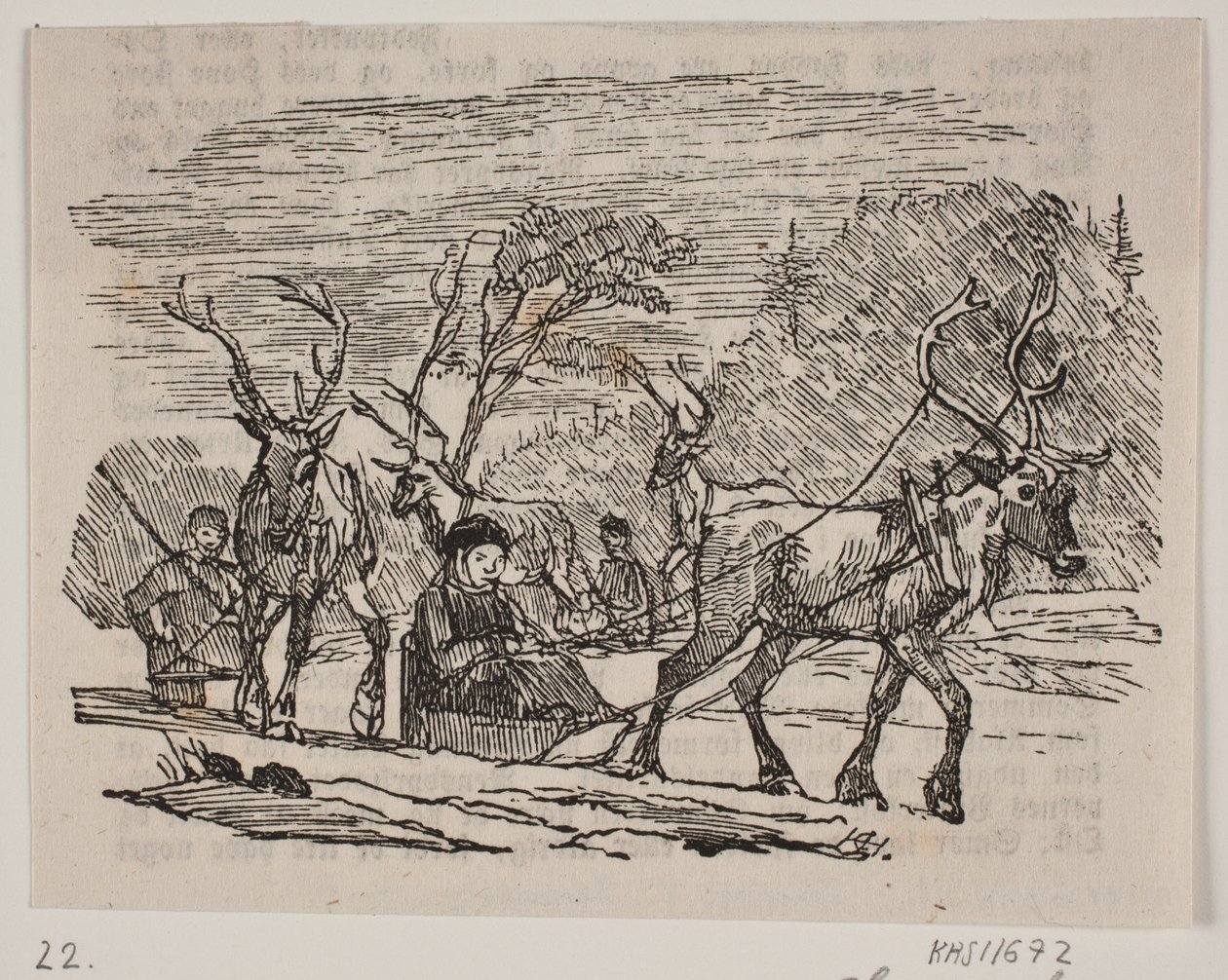 Sleigh Ride with Reindeer by H. C. Henneberg