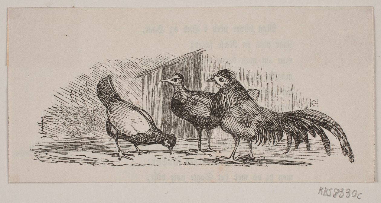 Three Chickens by H. C. Henneberg