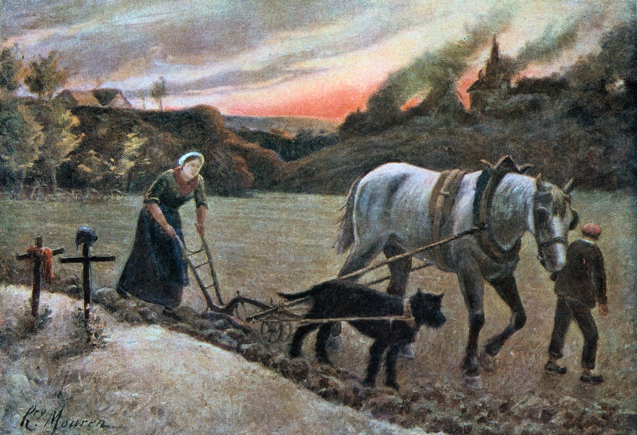 The Woman in the Fields by H. Mouren