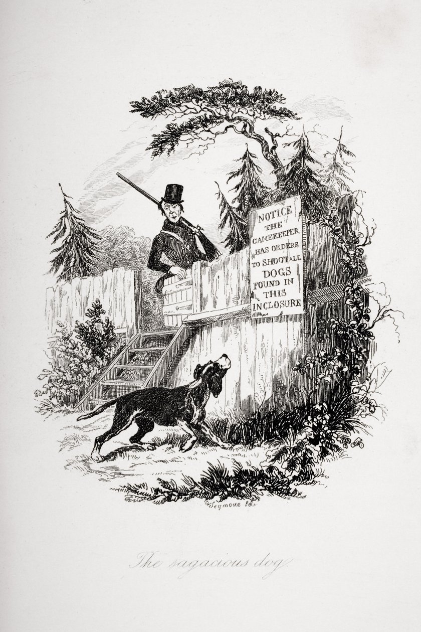The sagacious dog, illustration from 