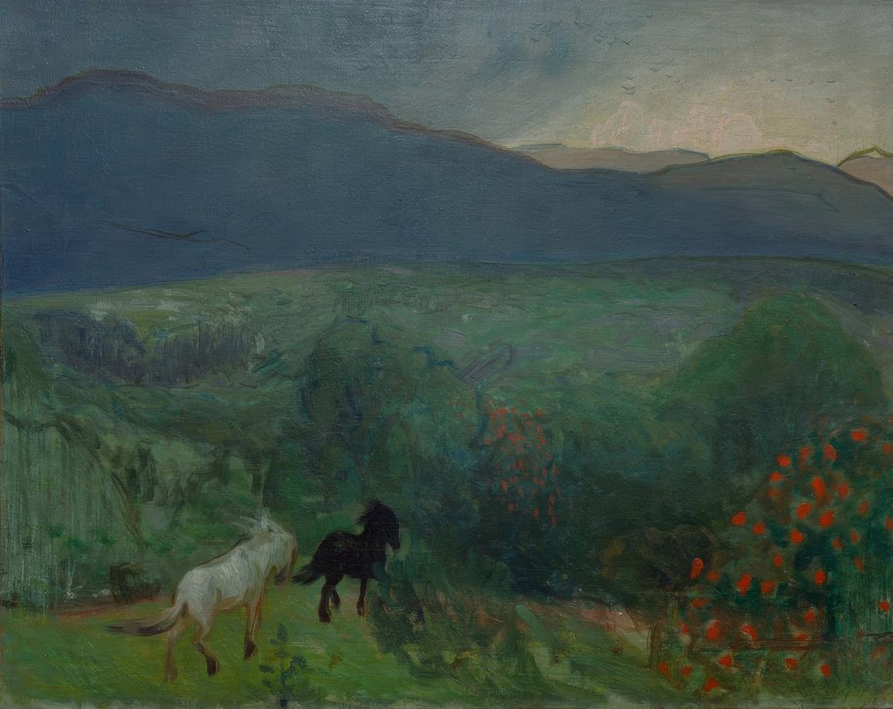 Approaching Storm, Telemark by Halfdan Egedius