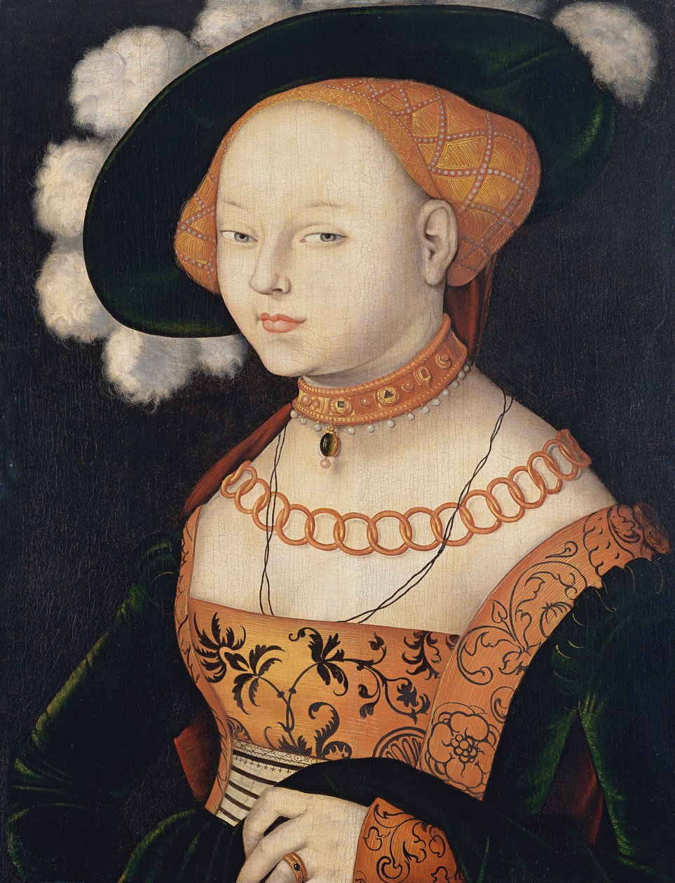 Portrait of a Lady by Hans Baldung Grien