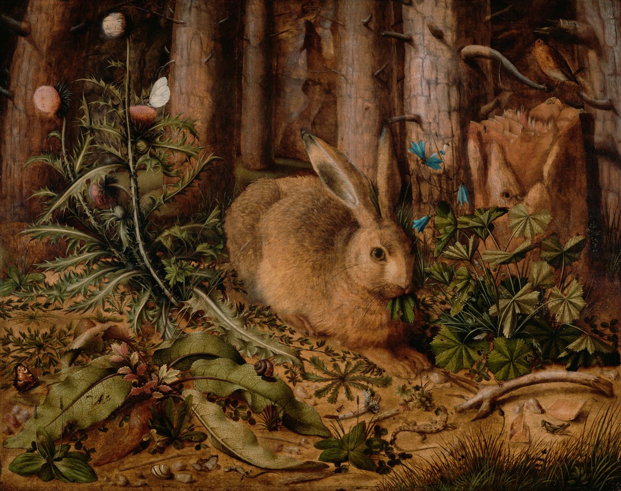 A Hare in the Forest by Hans Hoffmann