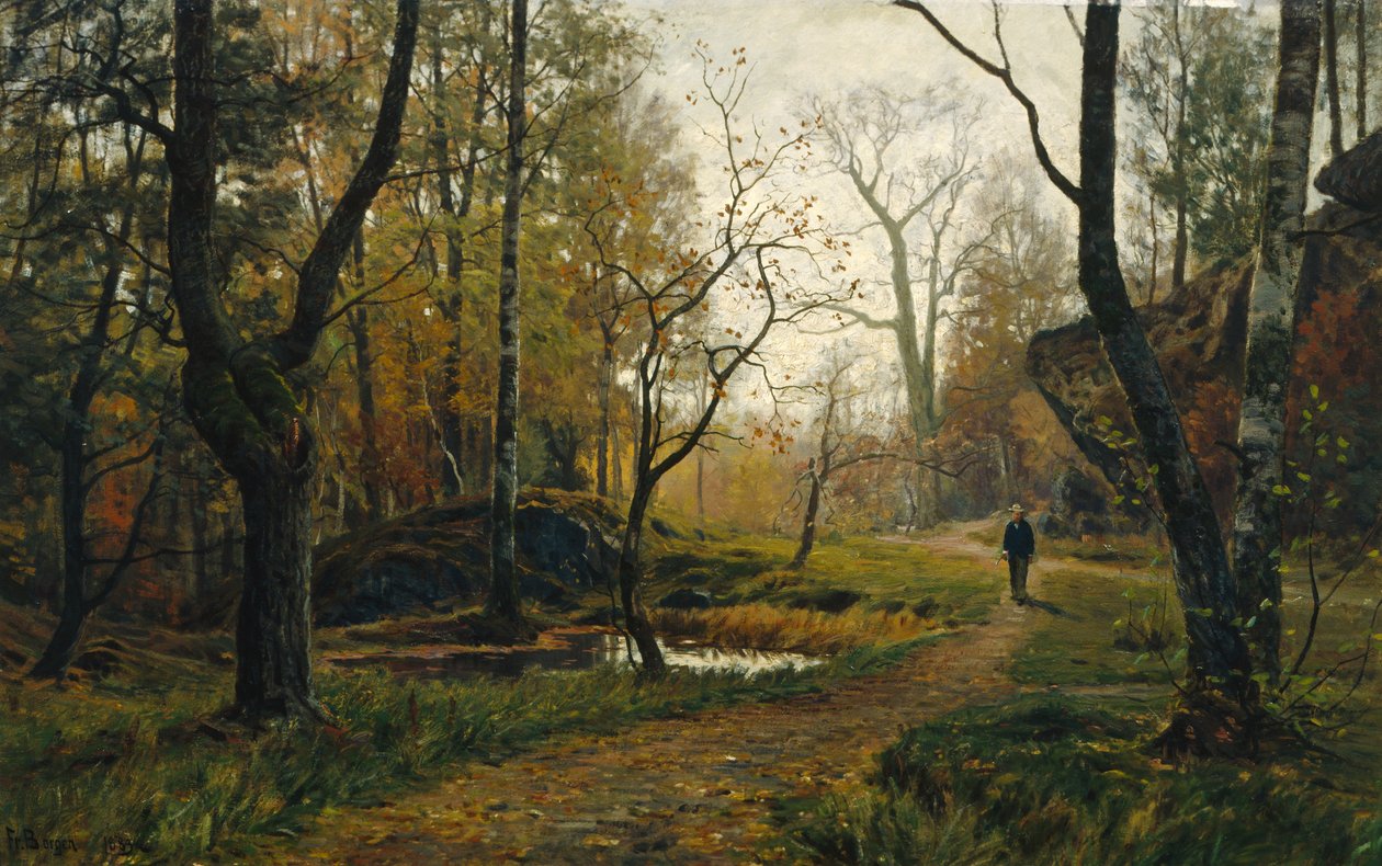Morning Atmosphere by Hans Fredrik Henriksen Borgen