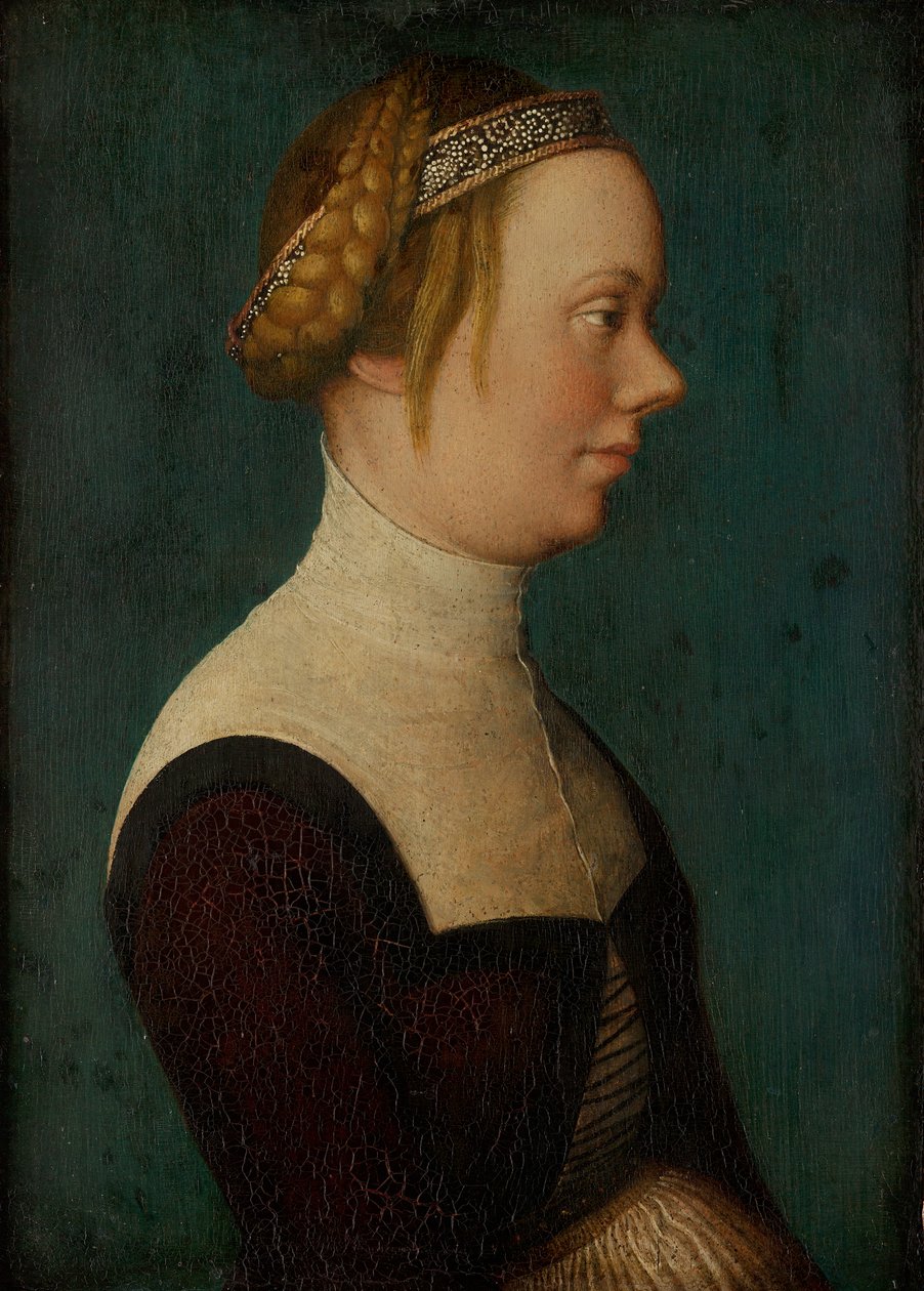 Portrait of a Woman by Hans Holbein the Elder