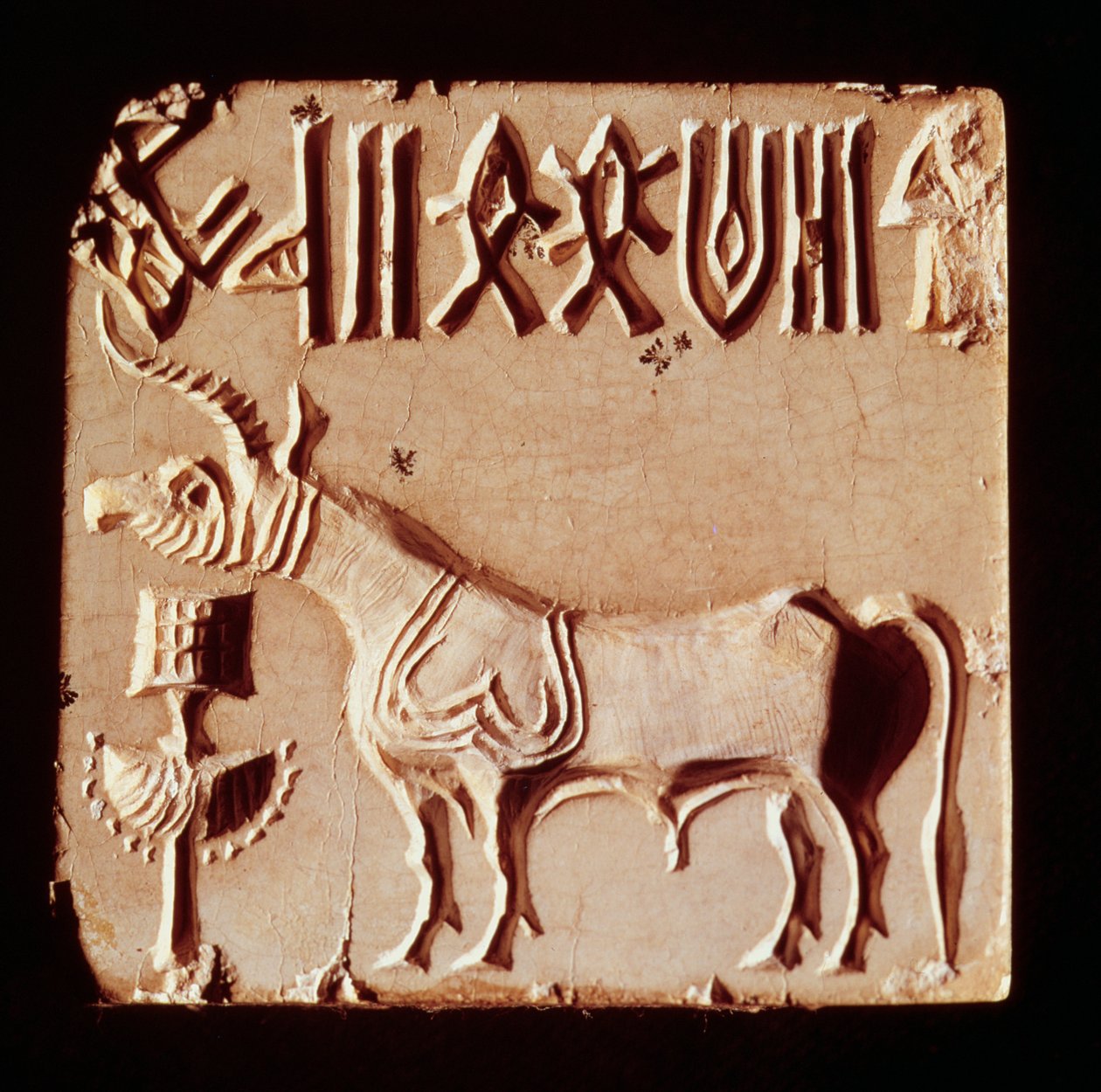 Seal depicting a mythological animal and pictographic symbols, from Mohenjo-Daro, Indus Valley, Pakistan, 3000-1500 BC by Harappan