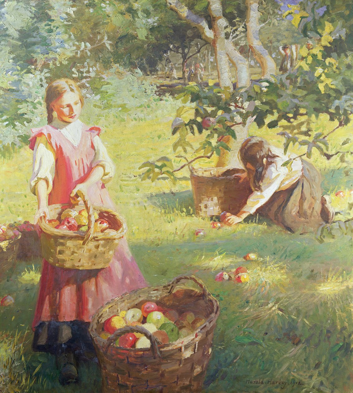 Apples by Harold Harvey