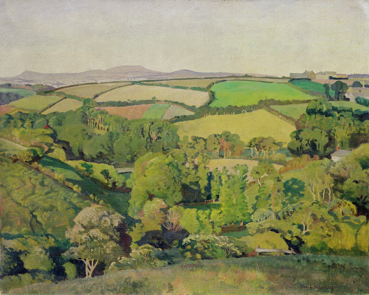 Drift Valley by Harold Harvey