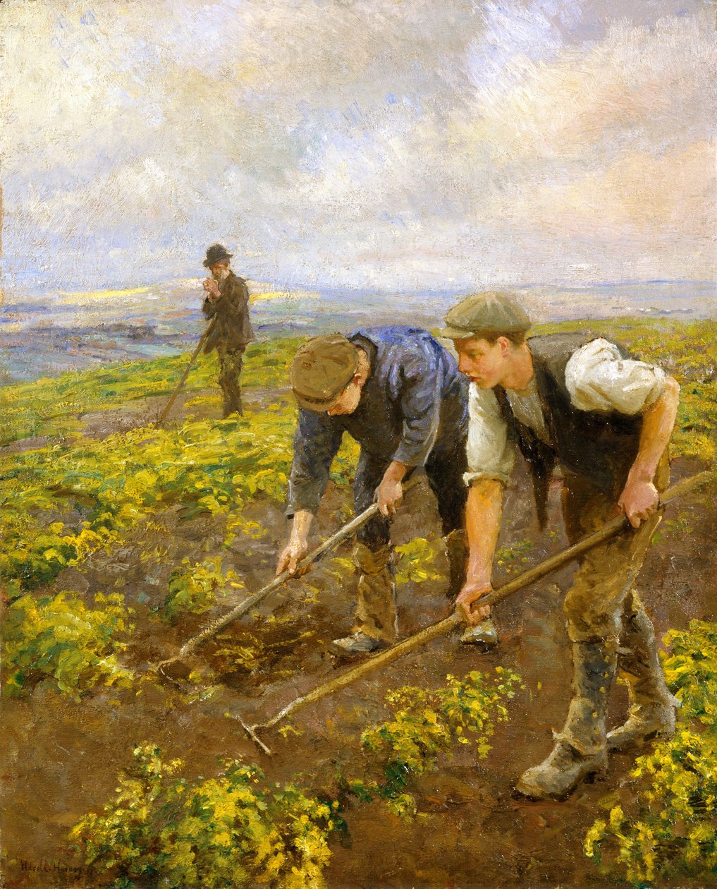 Hoeing above Mount