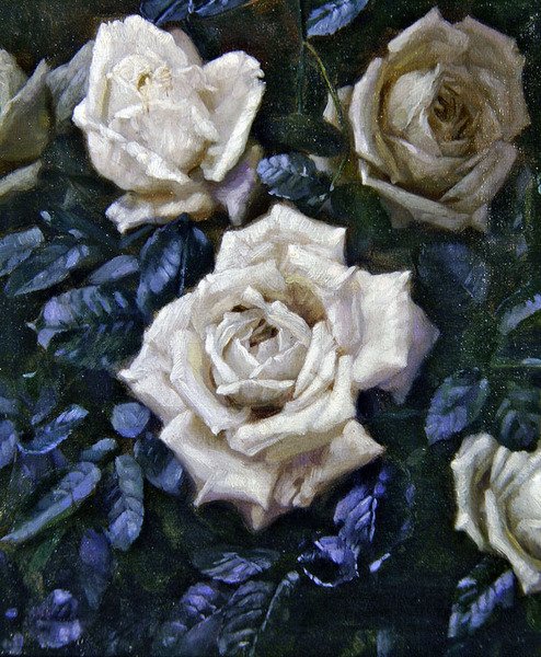 White Roses by Harold Oakley