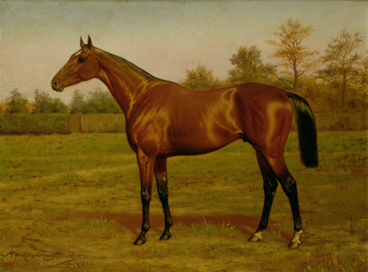 Isinglass, Triple Crown by Harrington Bird