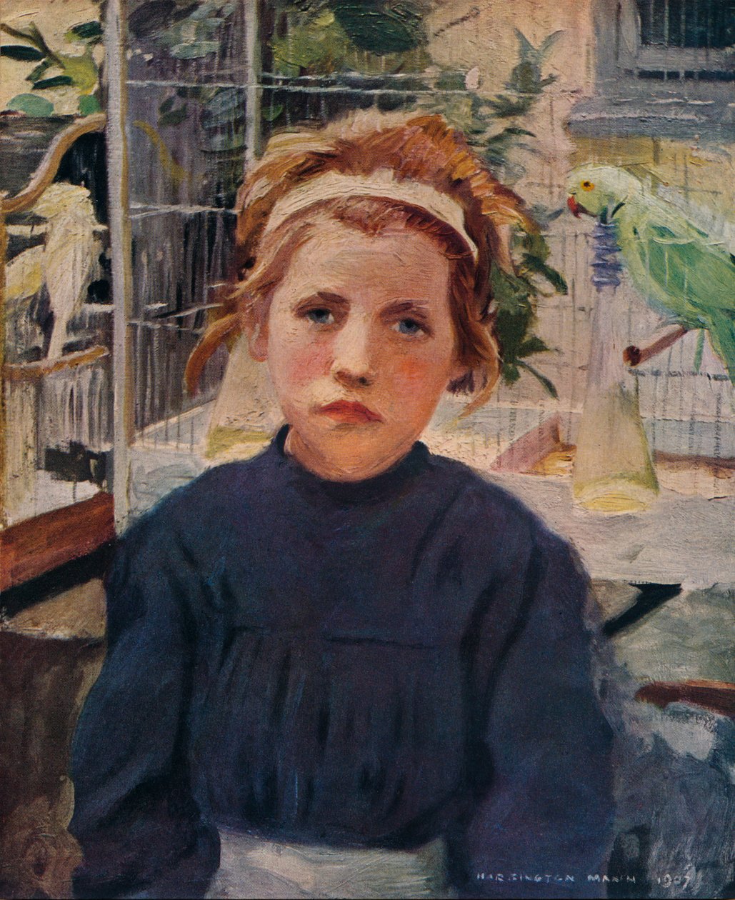 Birdcages by Harrington Mann