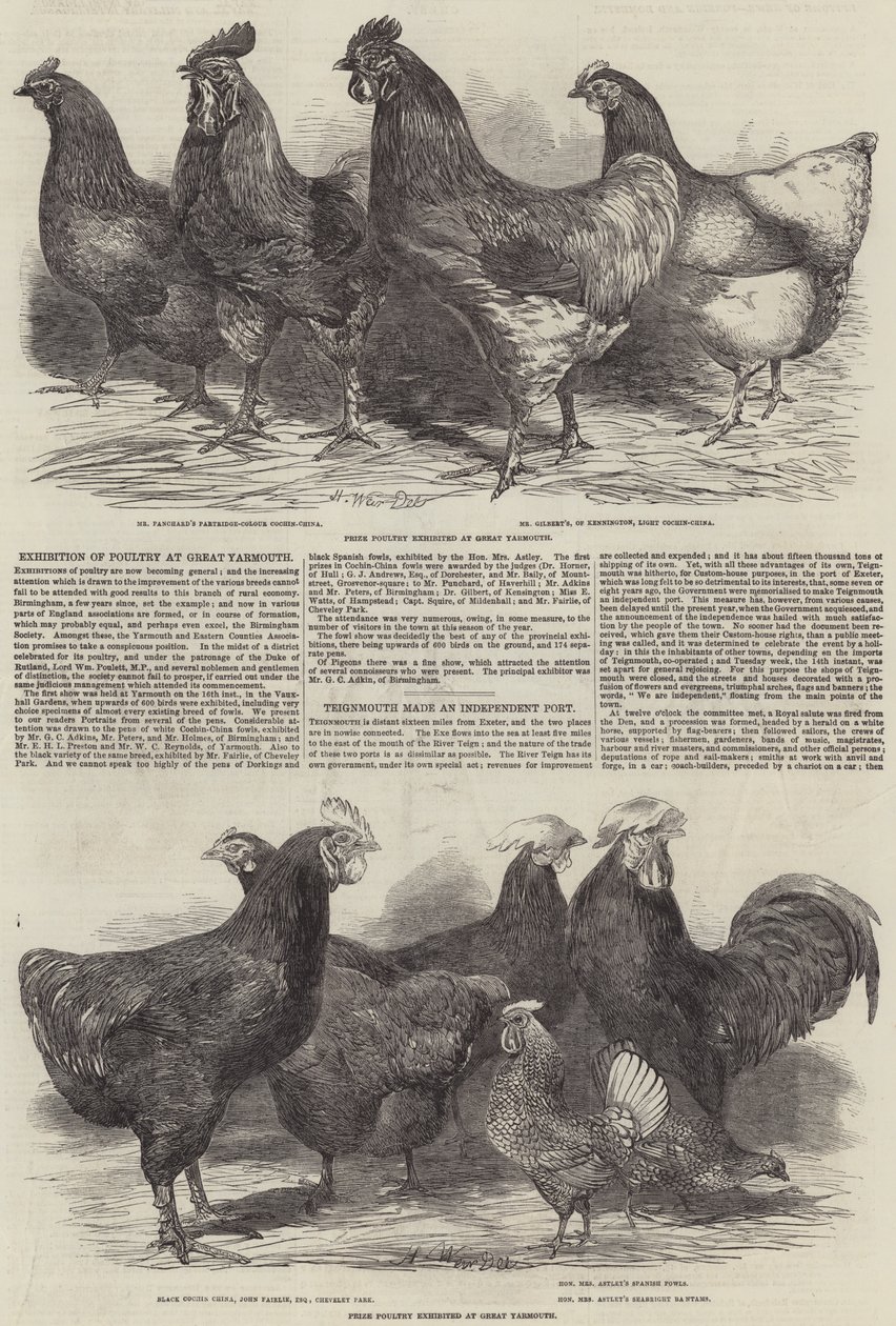 Exhibition of Poultry at Great Yarmouth by Harrison William Weir