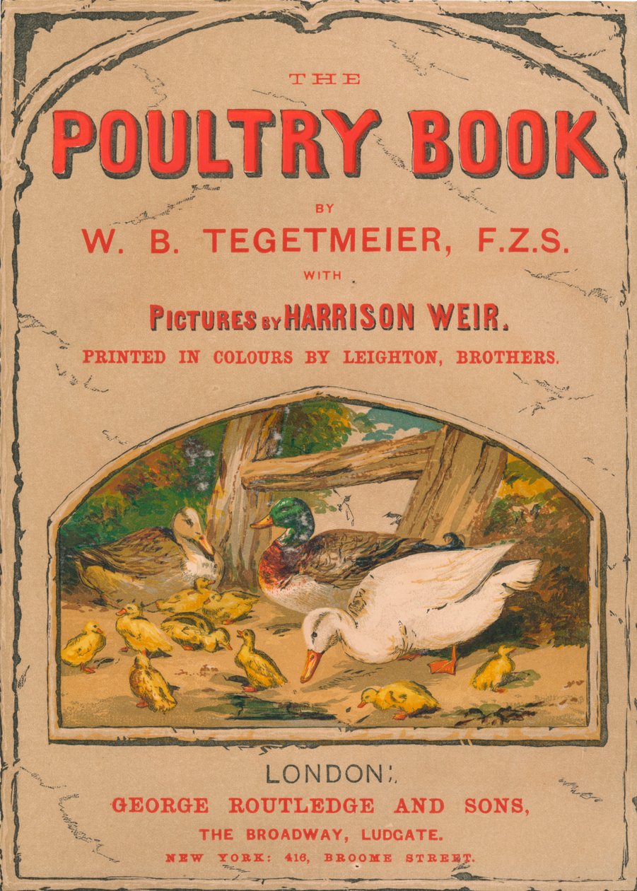The Poultry Book by Harrison Weir