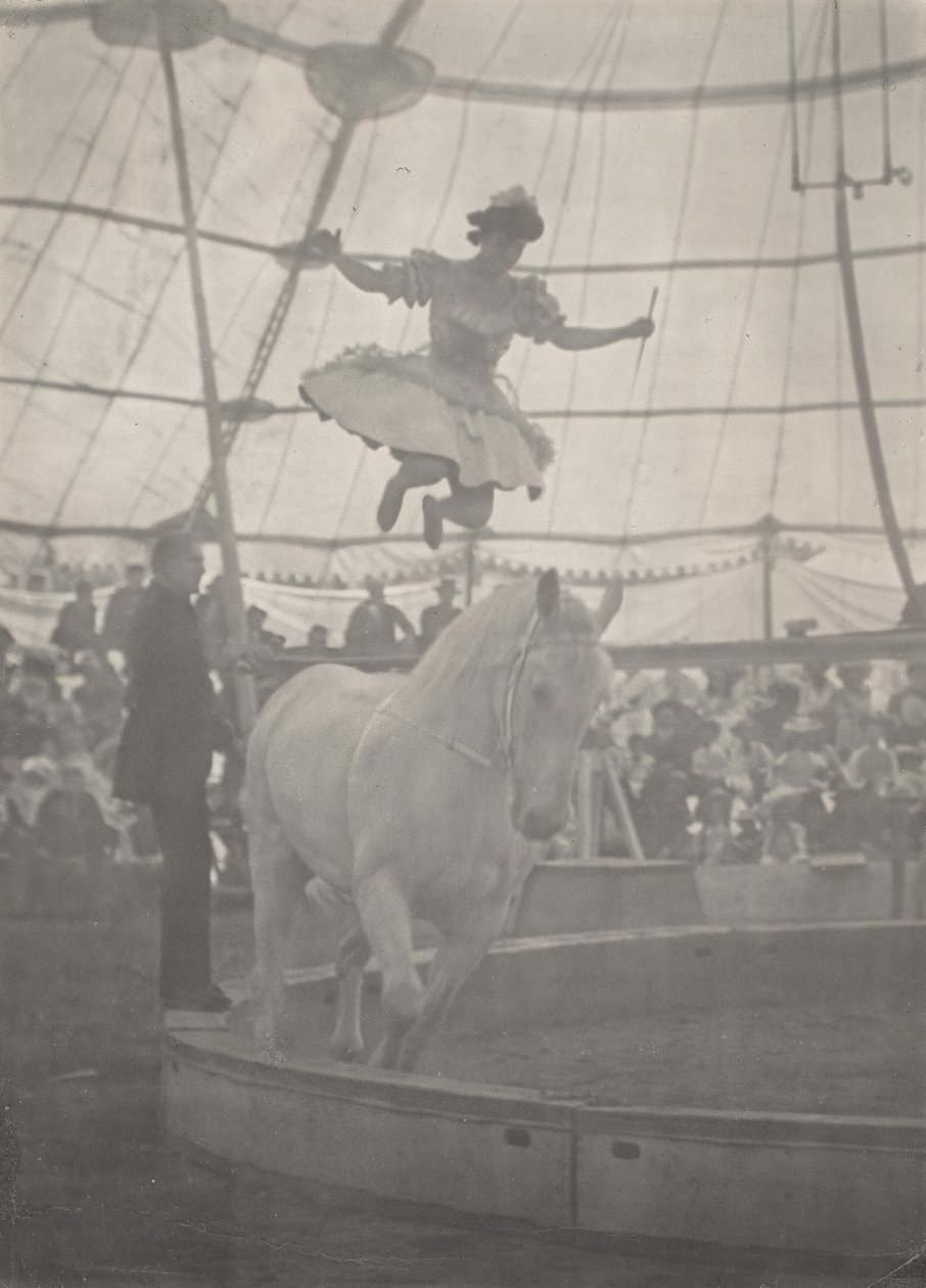 The Circus by Harry C. Rubincam