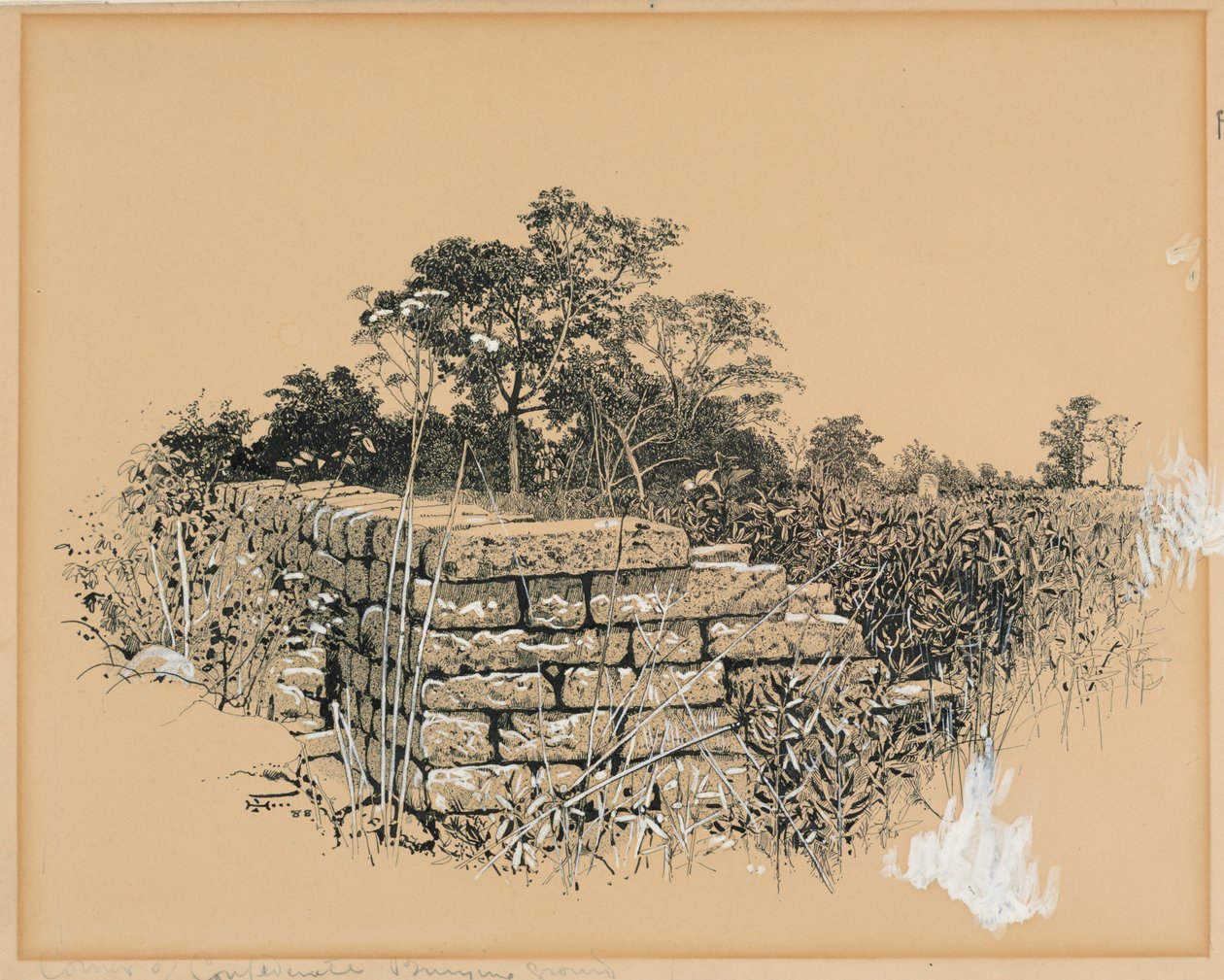 Corner Confederate Burying Ground by Harry Fenn