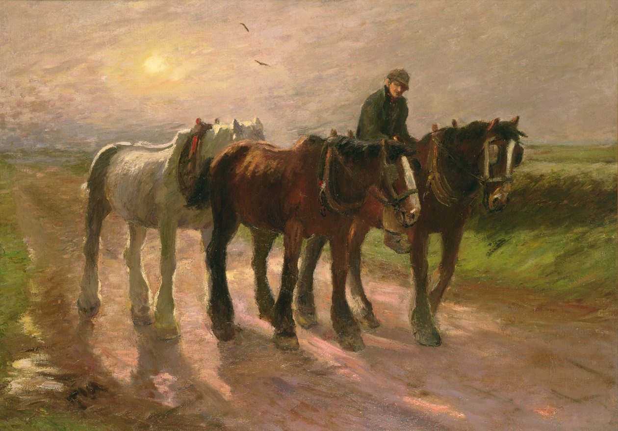 Homeward by Harry Fidler