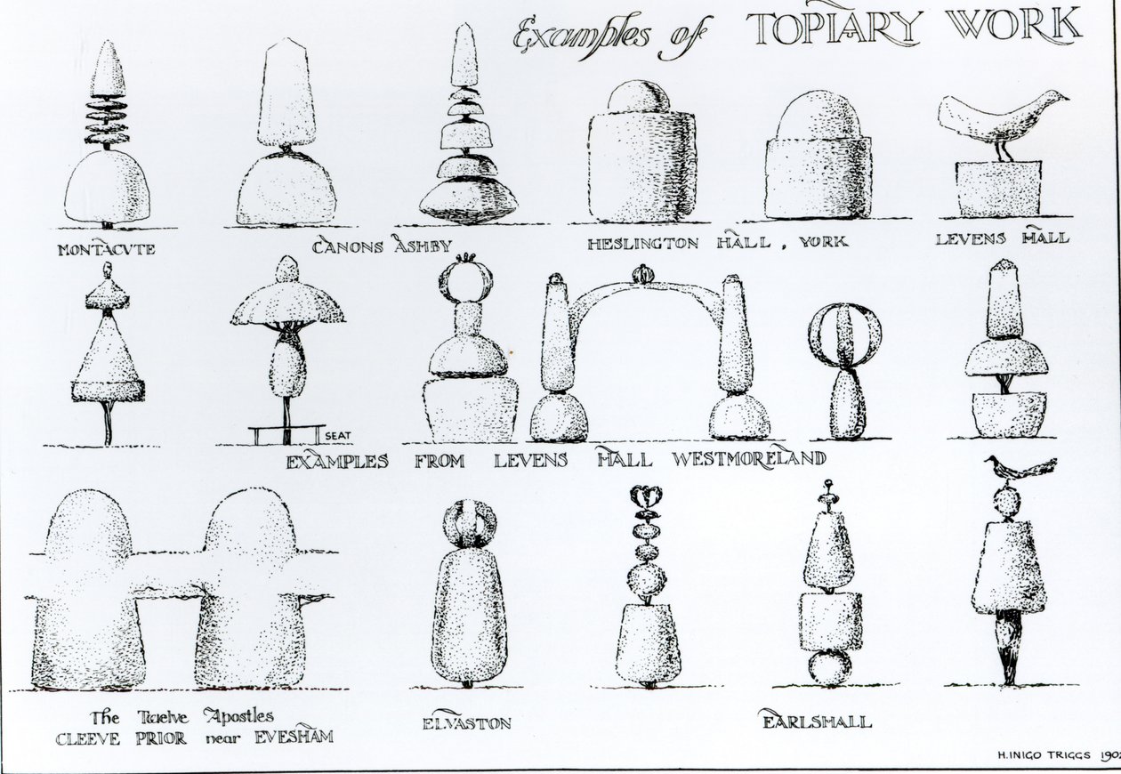Examples of Topiary Work, 1902 by Harry Inigo Triggs