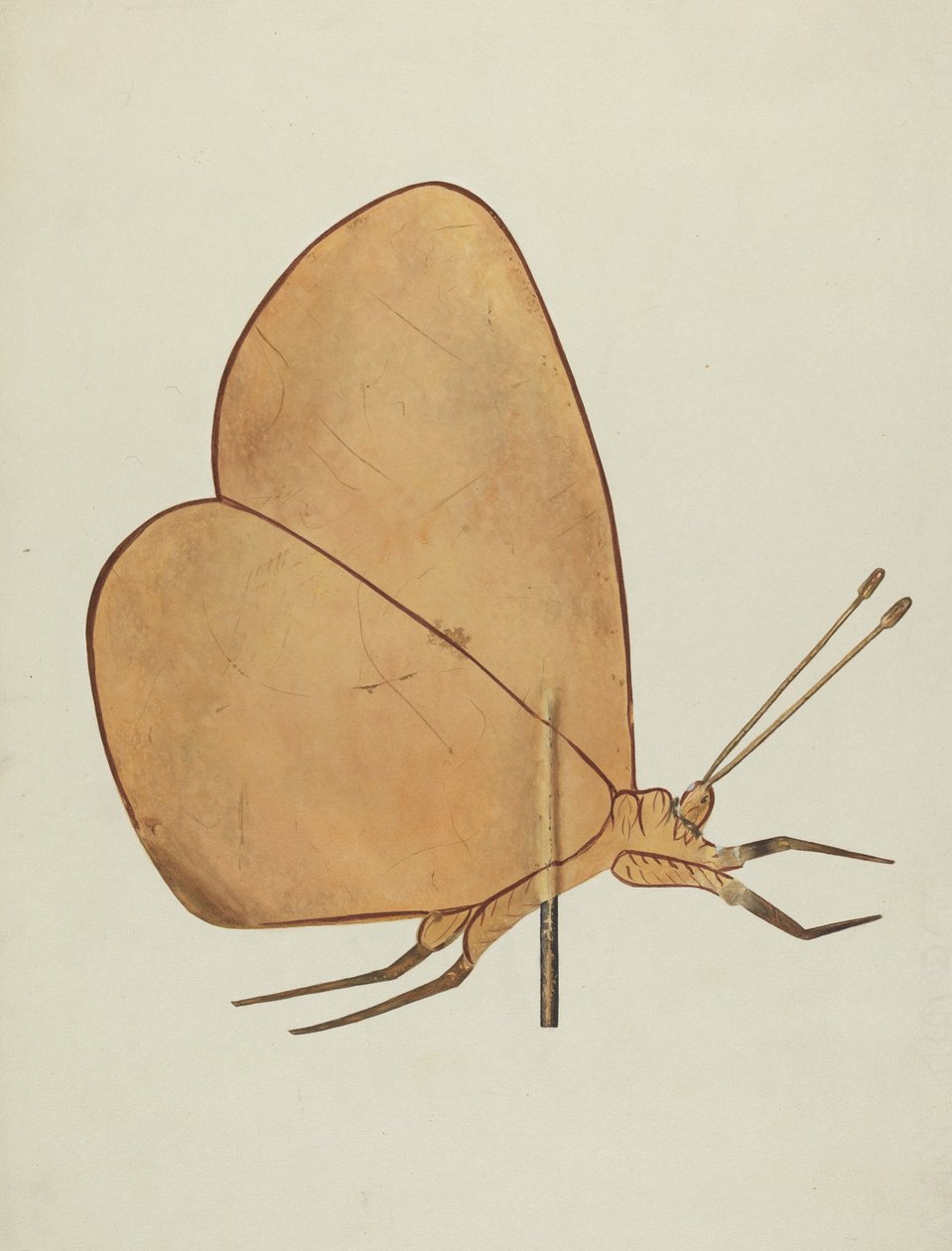 Butterfly Weather Vane by Hazel Hyde