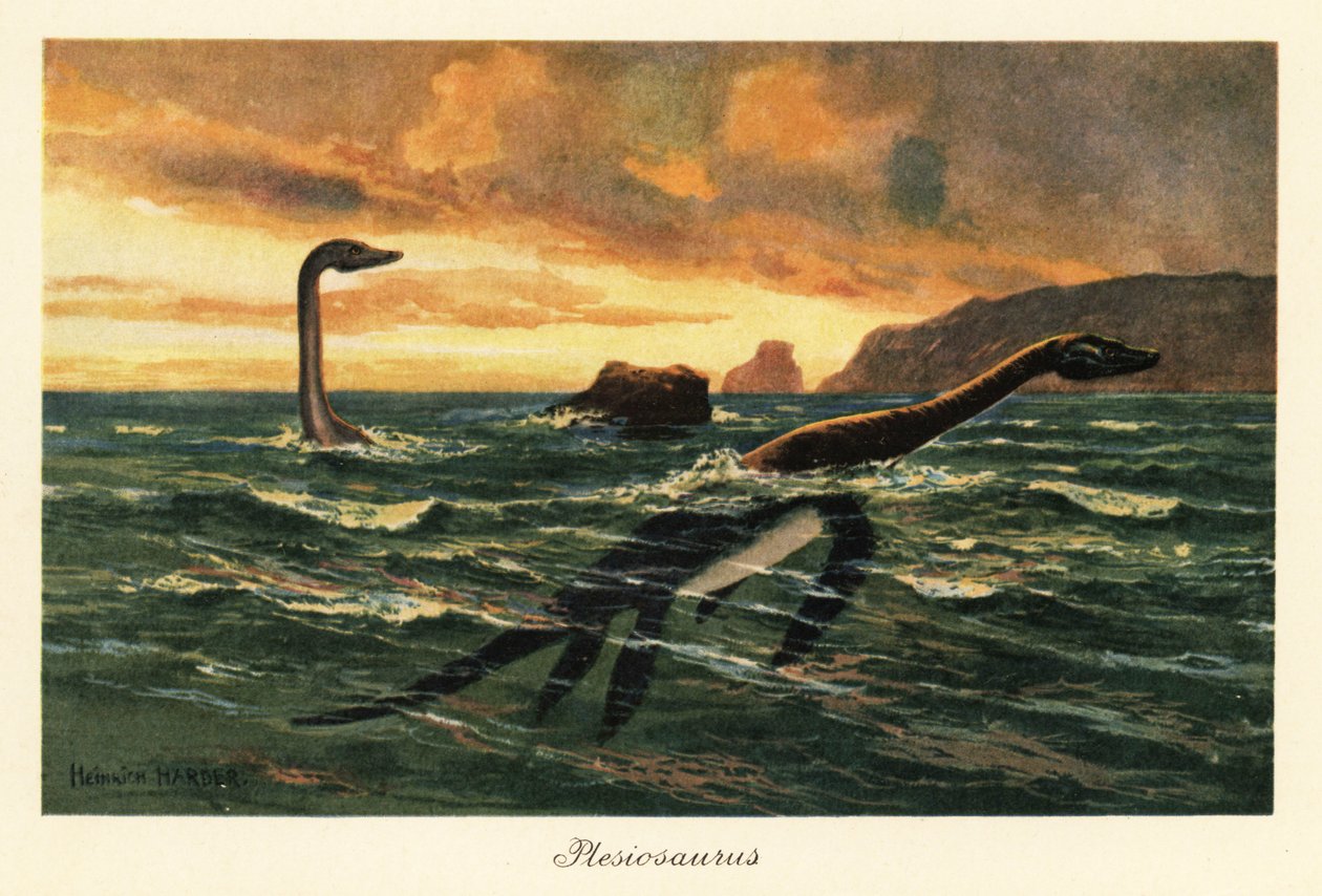 Plesiosaurus Dolichodeirus in the Ocean by Heinrich Harder
