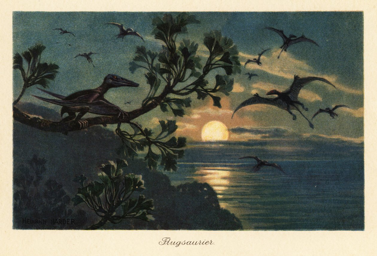 Rhamphorhynchus Pterosaurs Flying in the Moonlight by Heinrich Harder