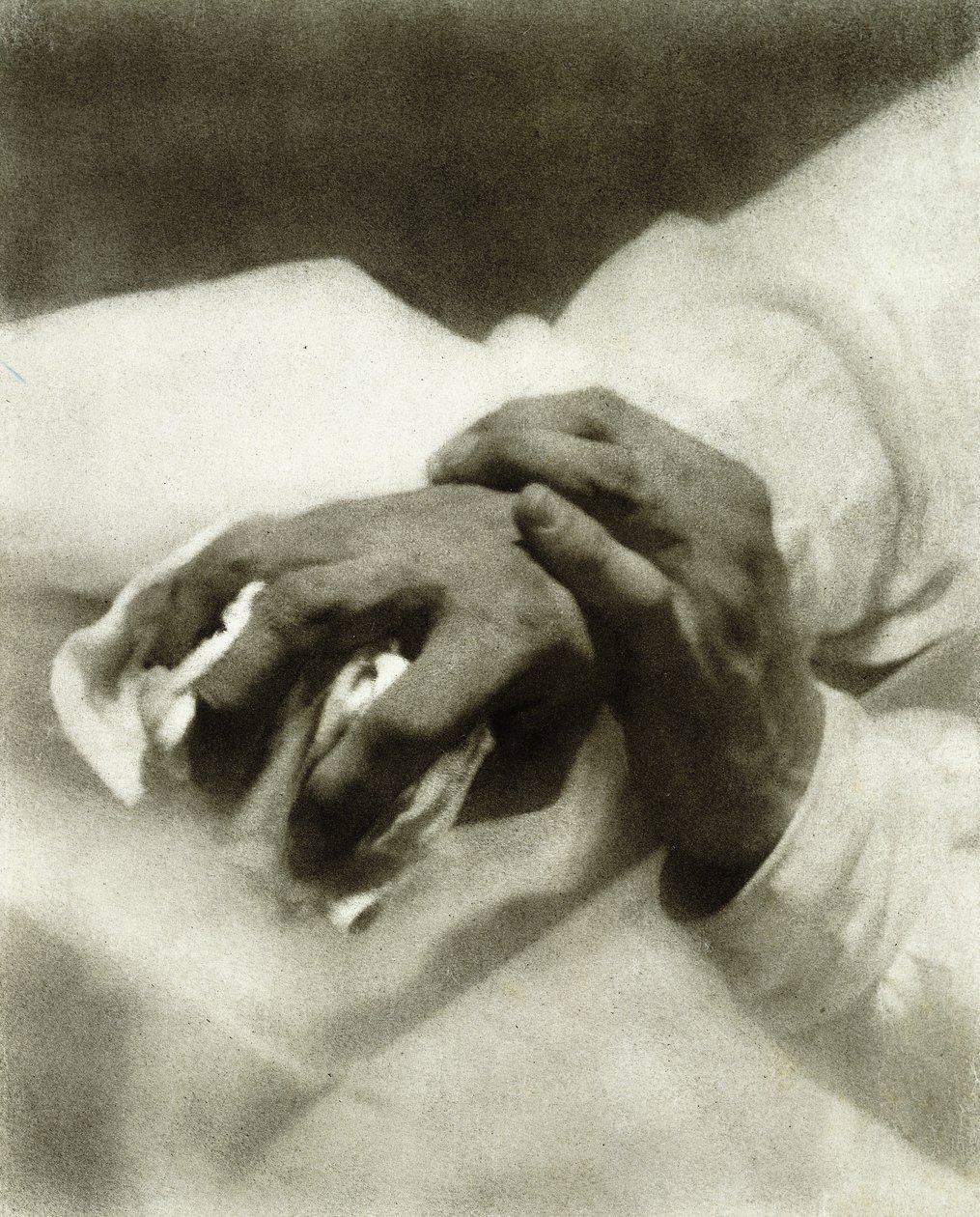 Study of Hands by Heinrich Kuhn