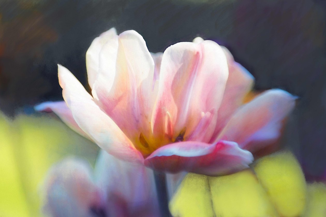 Emergence III by Helen White
