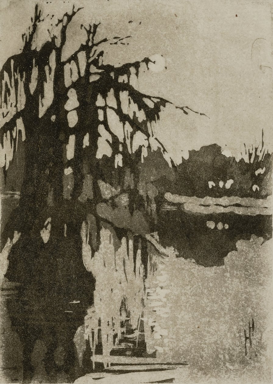 Cypress Trees by Helen Hyde