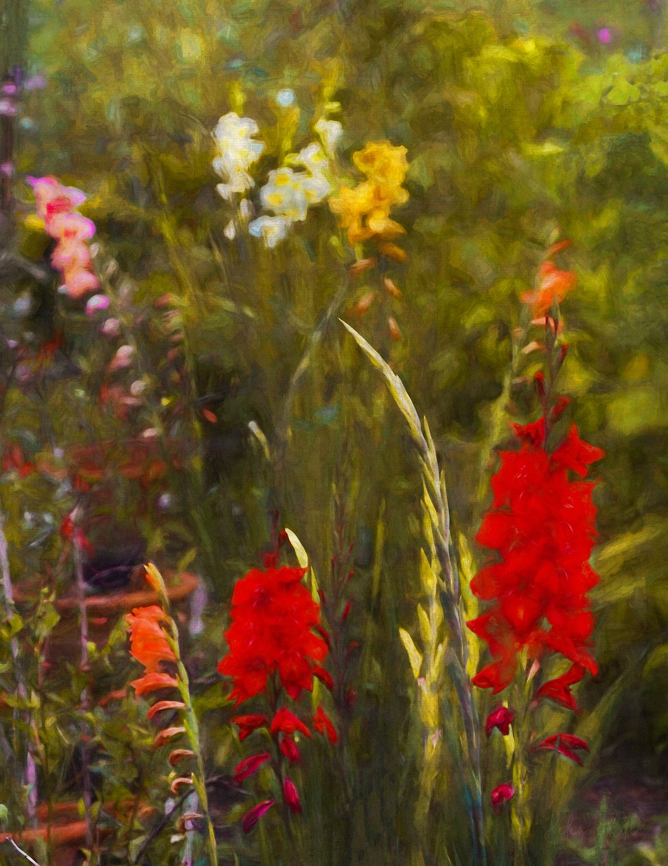 Beside the Potting Shed by Helen White