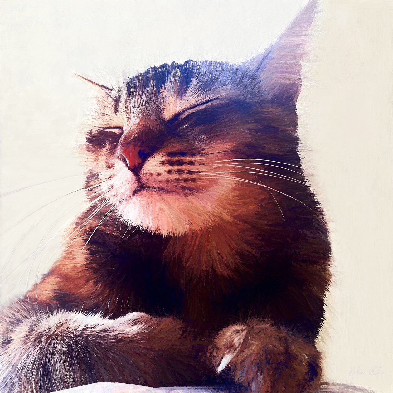 Cat That Got The Cream by Helen White