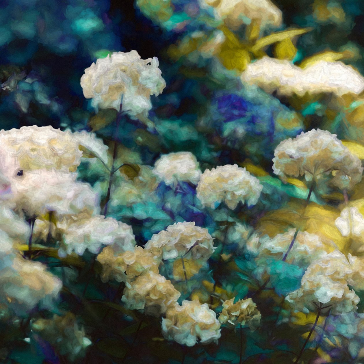 Heavenly Hydrangeas by Helen White