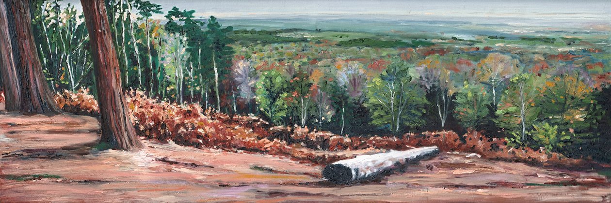 High Ridge by Helen White