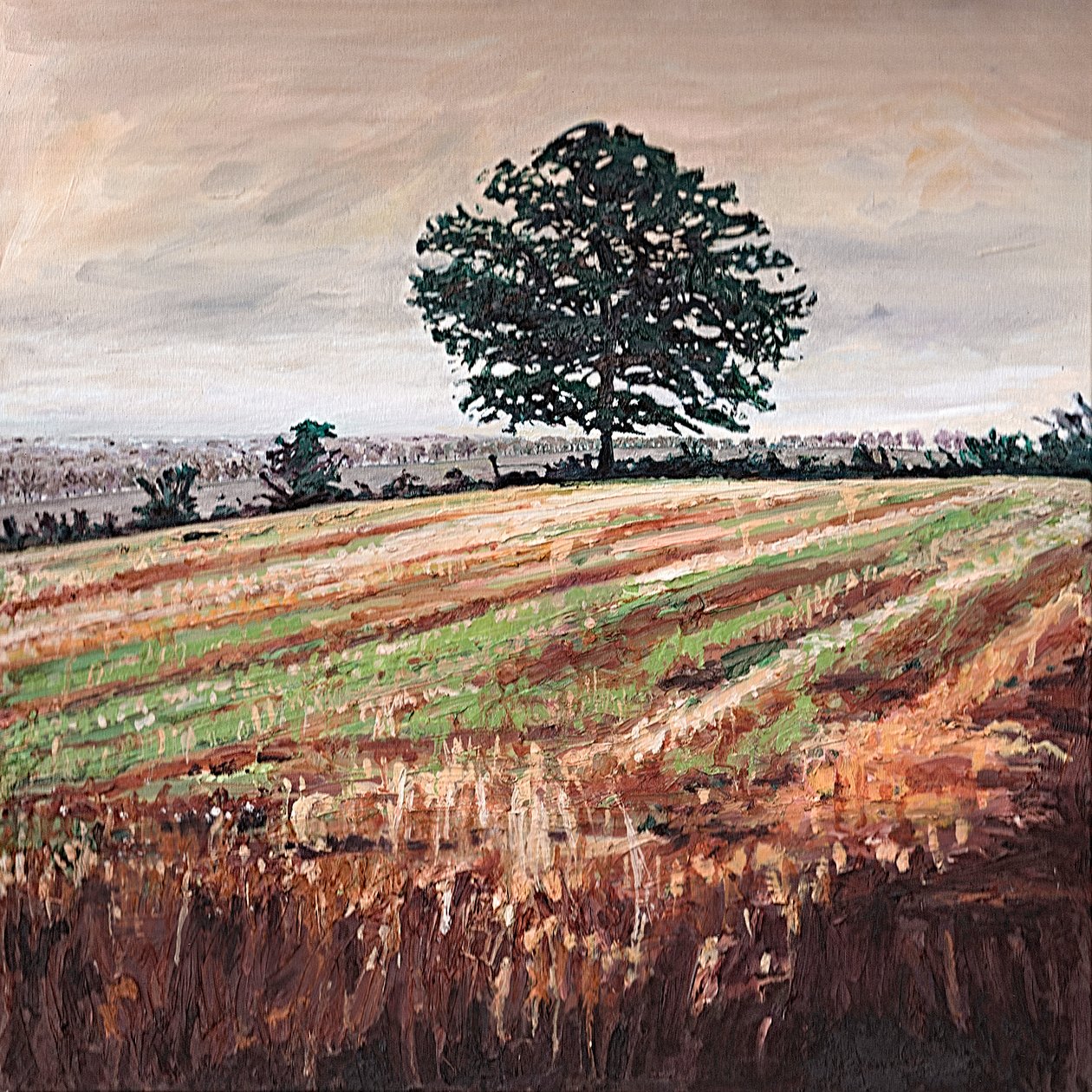 Late Afternoon Field by Helen White