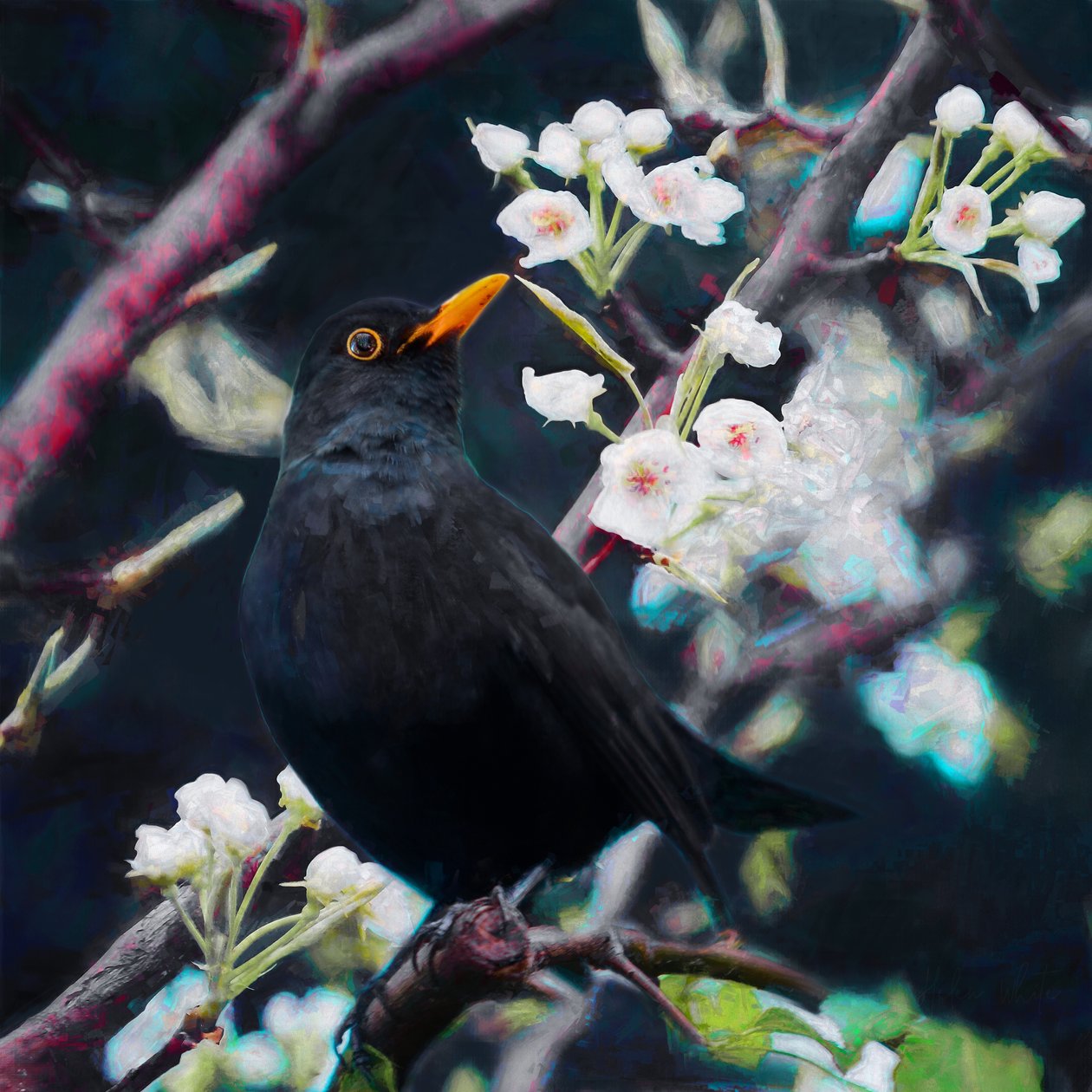 Lord of the Summer Song by Helen White