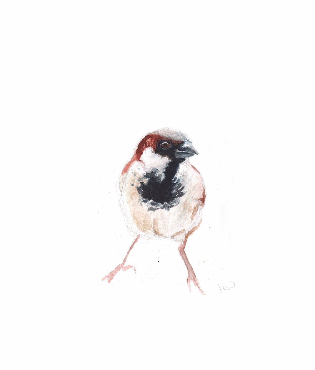 Male Sparrow I by Helen White