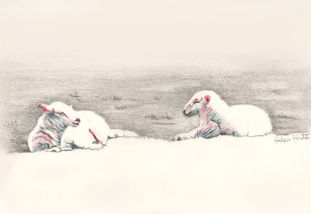 Napping by Helen White