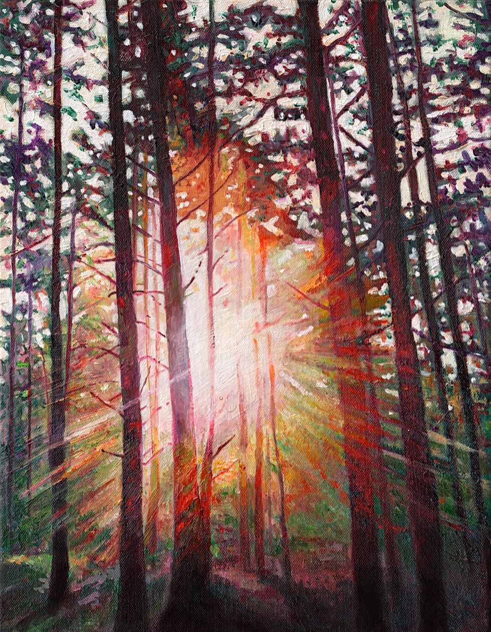 Sunburst by Helen White