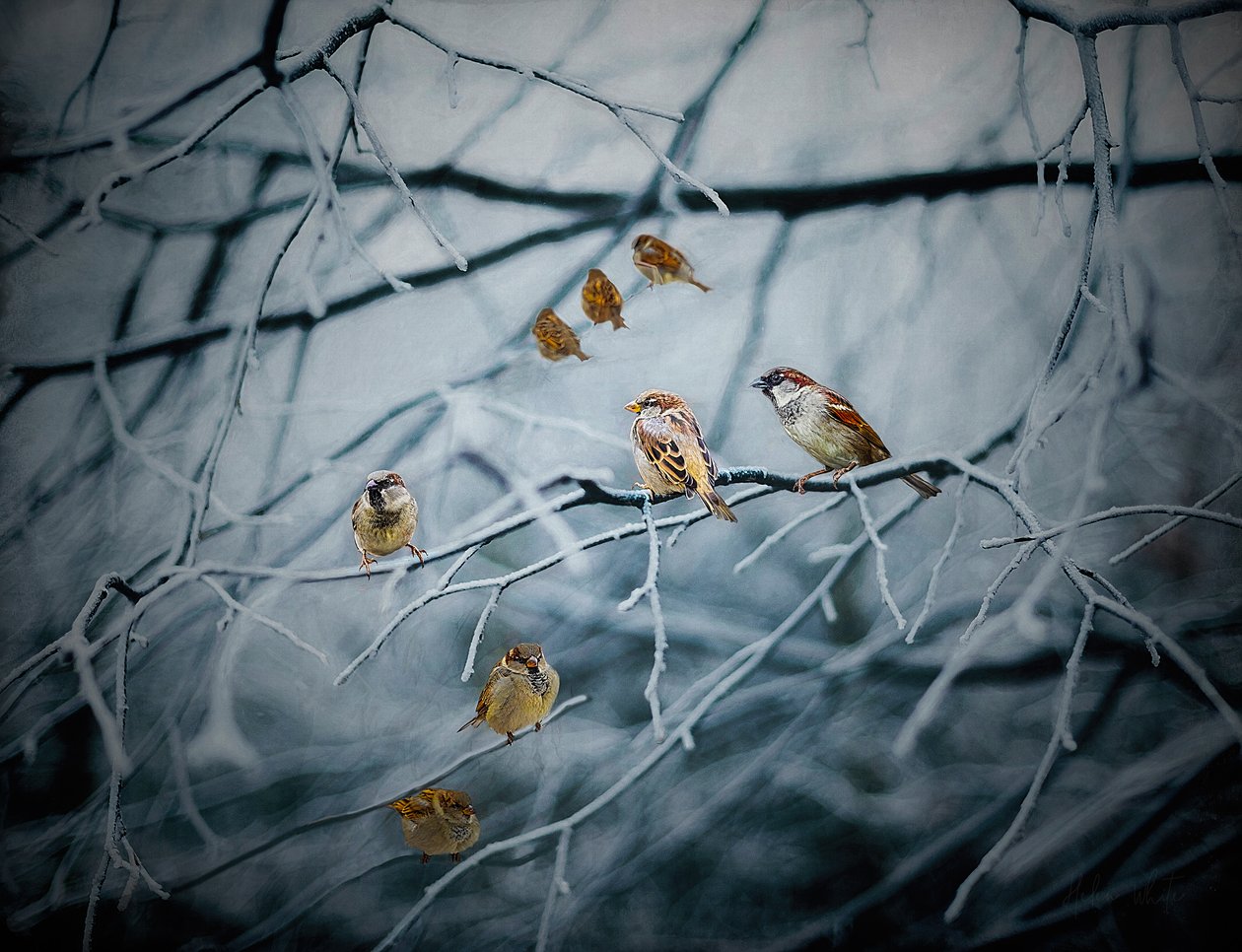 Teeming with Life by Helen White