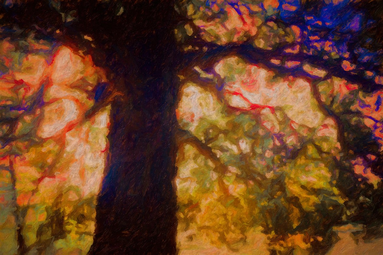 Under Spreading Oak by Helen White